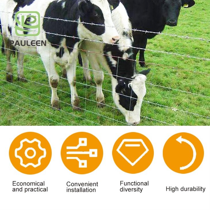 Galvanized Fixed Knot Deer Fence suppliers Galvanized Fixed Knot Deer Fence suppliers