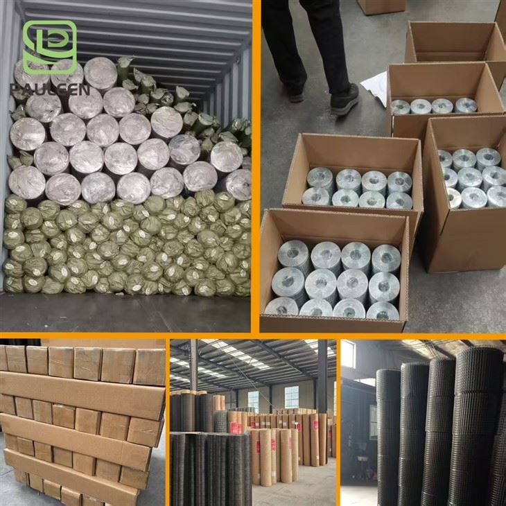 PVC Welded Wire Mesh Iron Wire Mesh