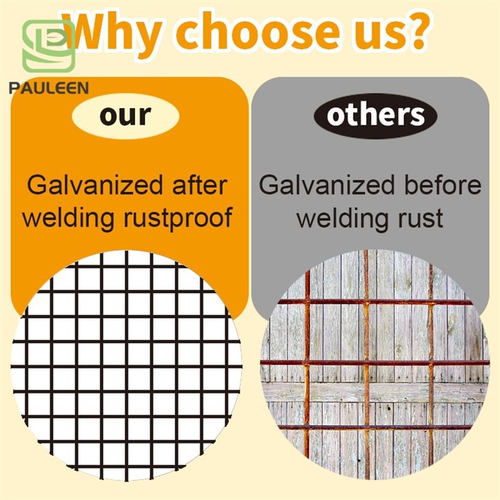 PVC Welded Wire Mesh Iron Wire Mesh