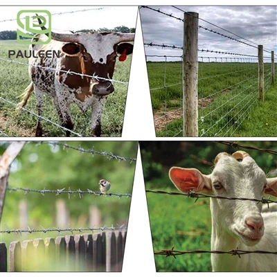 Pauleen Manufacturing tutvustab täiustatud okastraadilahendusi tugevaks perim...