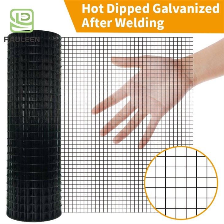 PVC Welded Wire Mesh Iron Wire Mesh