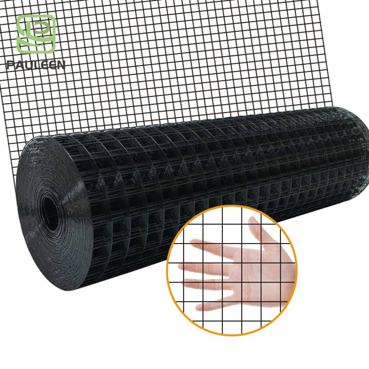 PVC Welded Wire Mesh Iron Wire Mesh