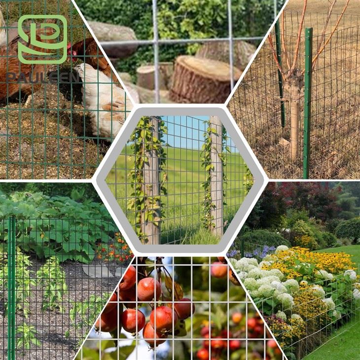 Rectangle Hole Wire Mesh best Rectangle Hole Wire Mesh best