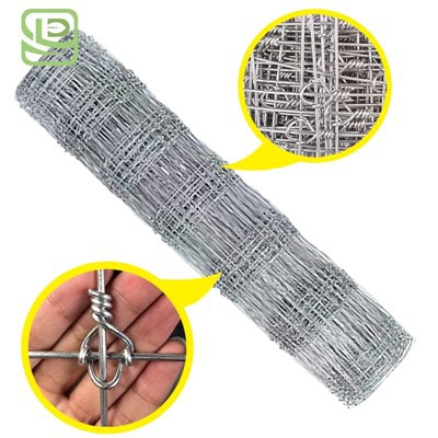 Tsingitud Hirveaia jaoks